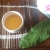 大寒に枇杷の葉採り。びわの葉のお茶と枇杷の葉エキスで旬を楽しもう！