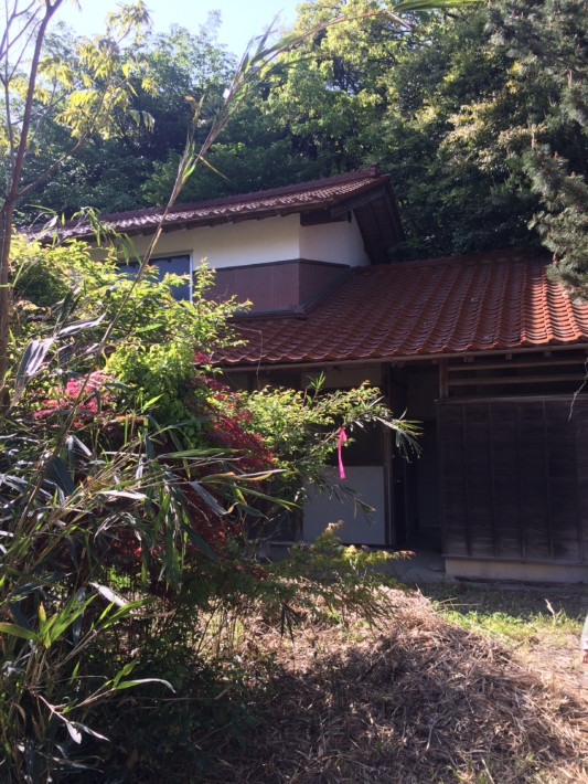 木々に埋もれた家