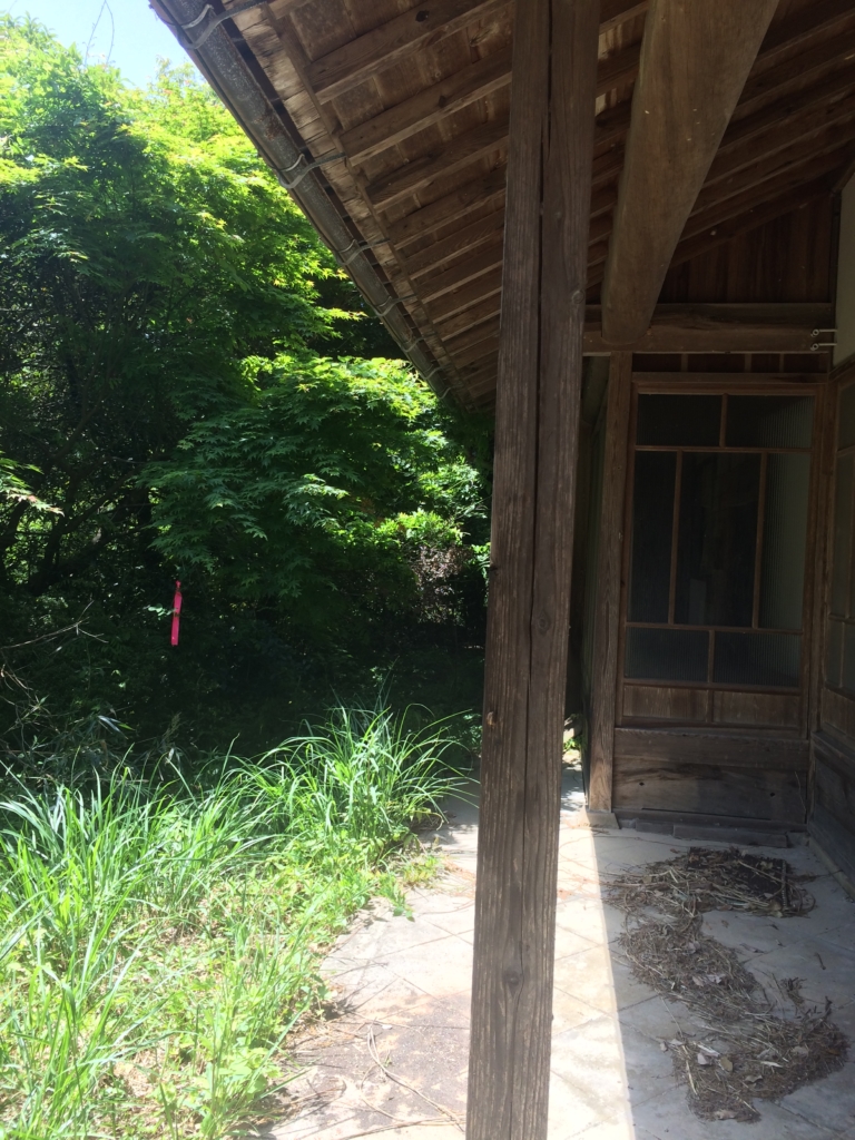 見学当初の建物と土地