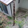 タケノコの竹害から住宅の敷地を守る技法。竹の地下茎の処理方法を紹介します。