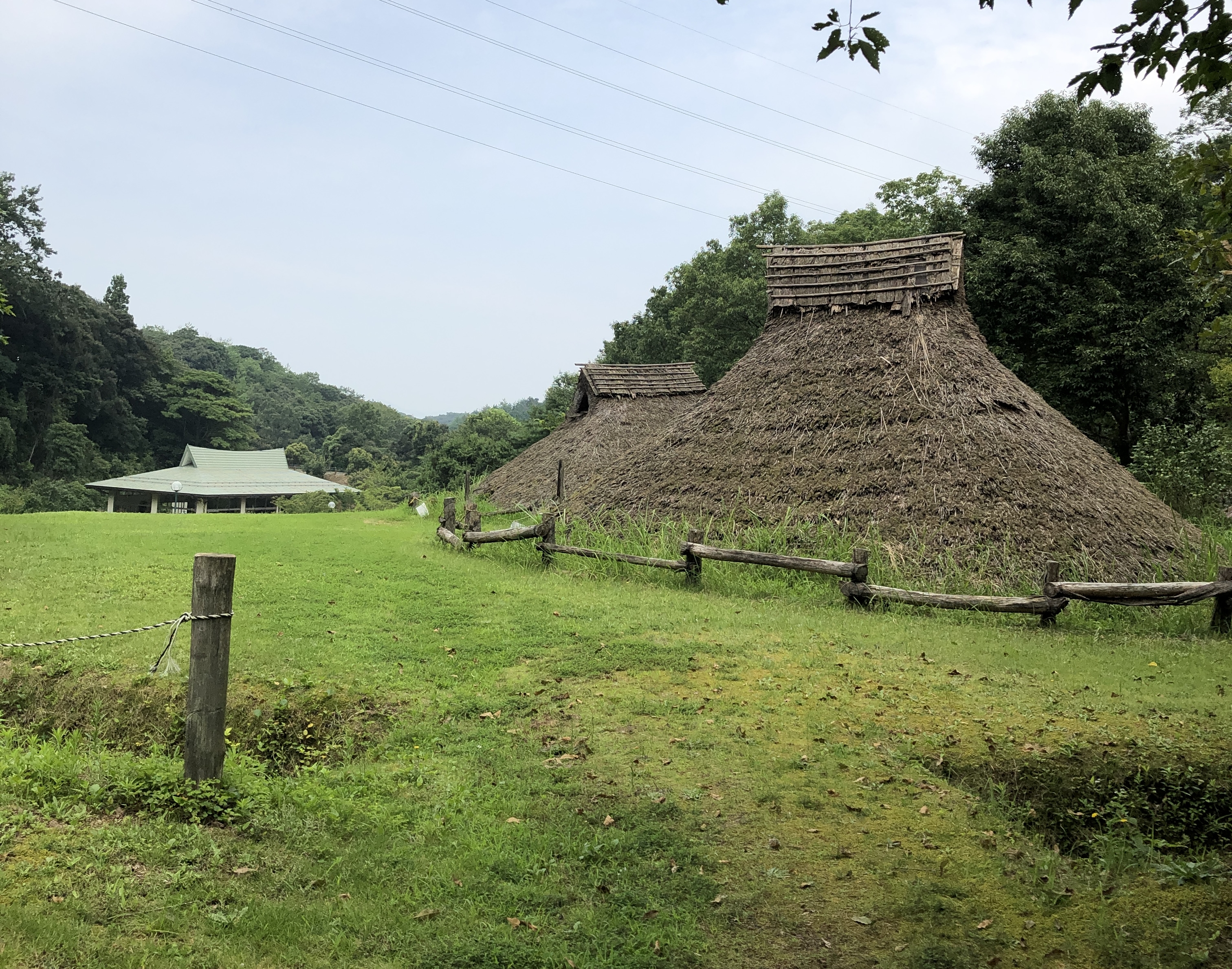 古代の日本史ロマンを感じる荒神谷史跡公園。約5万本の古代ハス